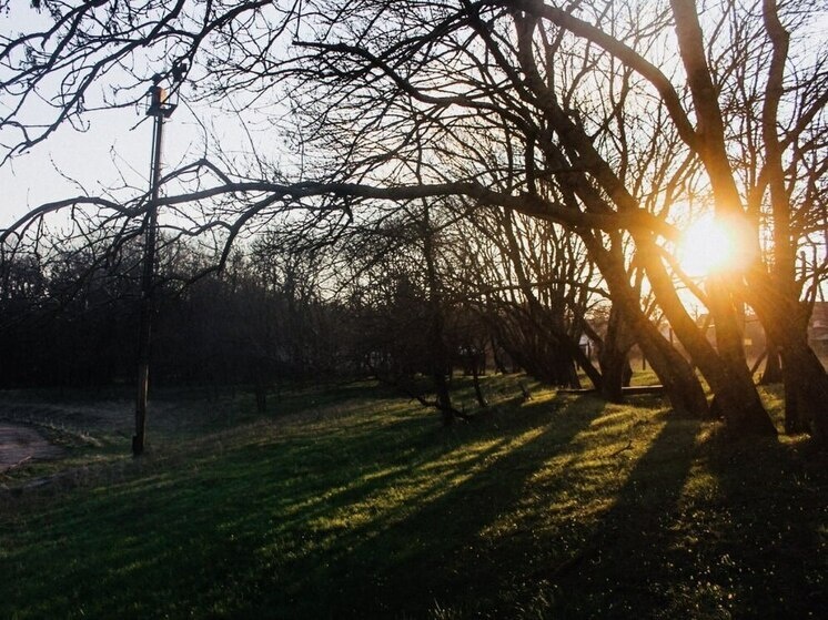     Фото: архив МК в Питере