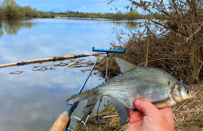 Весенний фидер: три правила эффективной прикормки для холодной воды