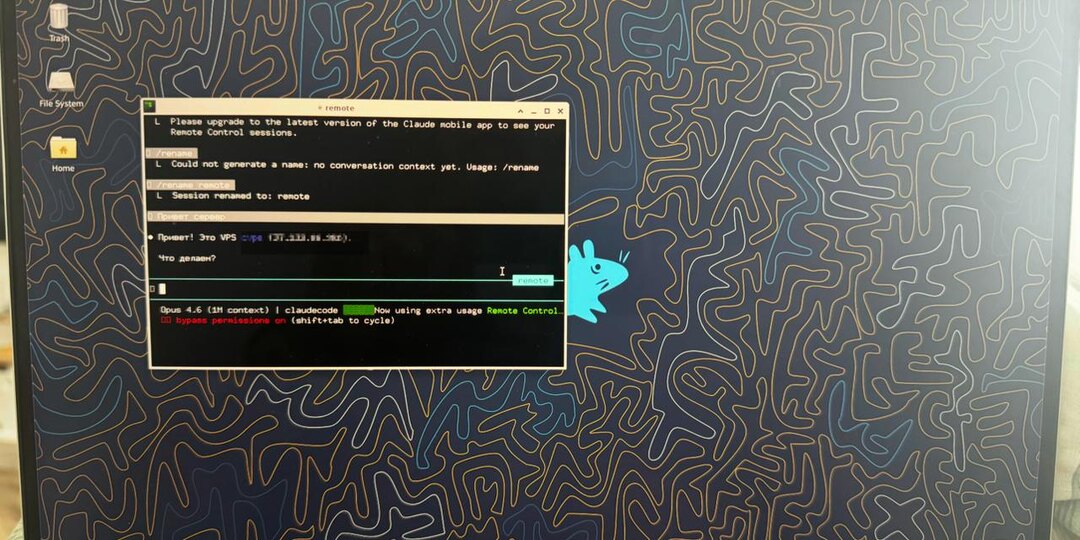 Если сильно поджимает удалённо работать