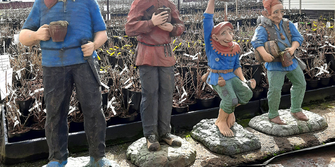 Свидание с моими розами