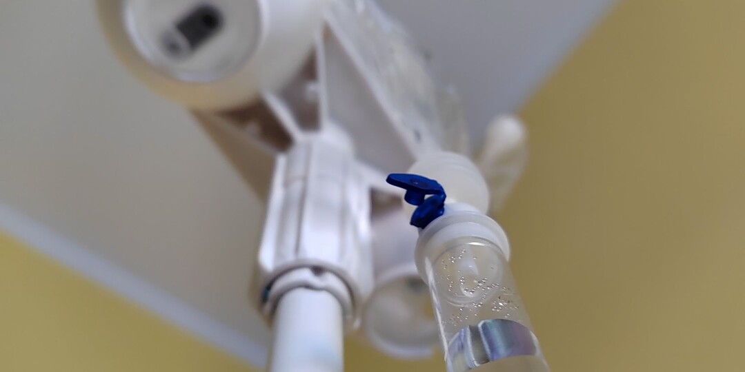 Клещи и инфекции: почему после укуса нужно провериться на несколько заболеваний