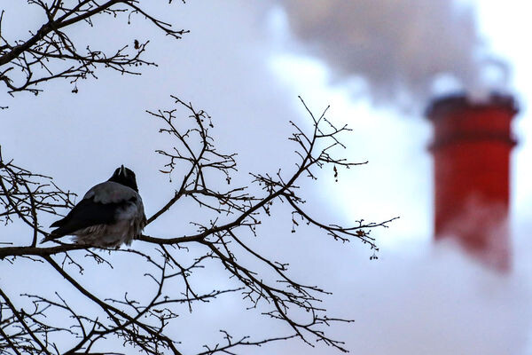 Антон Денисов/РИА «Новости»   📷