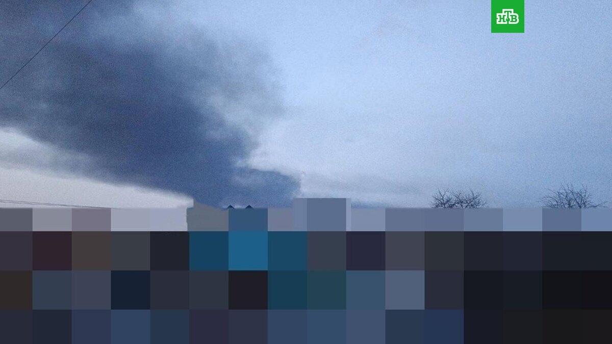    Фото: соцсети