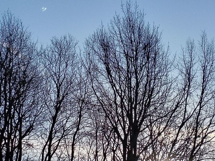     Фото: «МК в Ленобласти»/Надежда Гусарова.