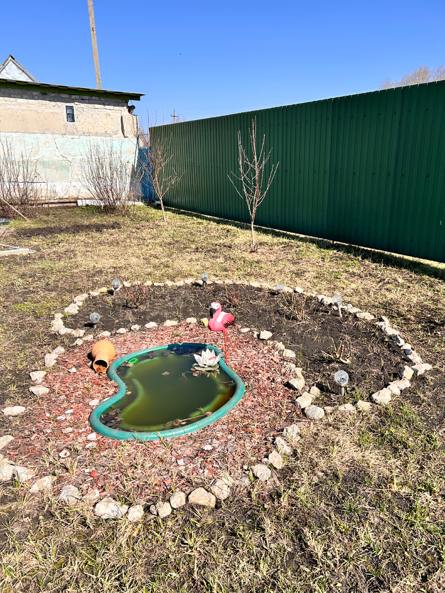 Фото автора