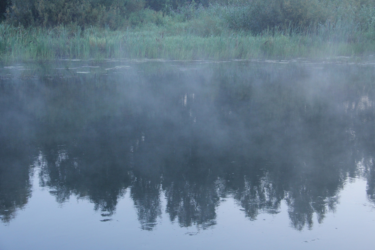 Умиротворение. Фото автора.