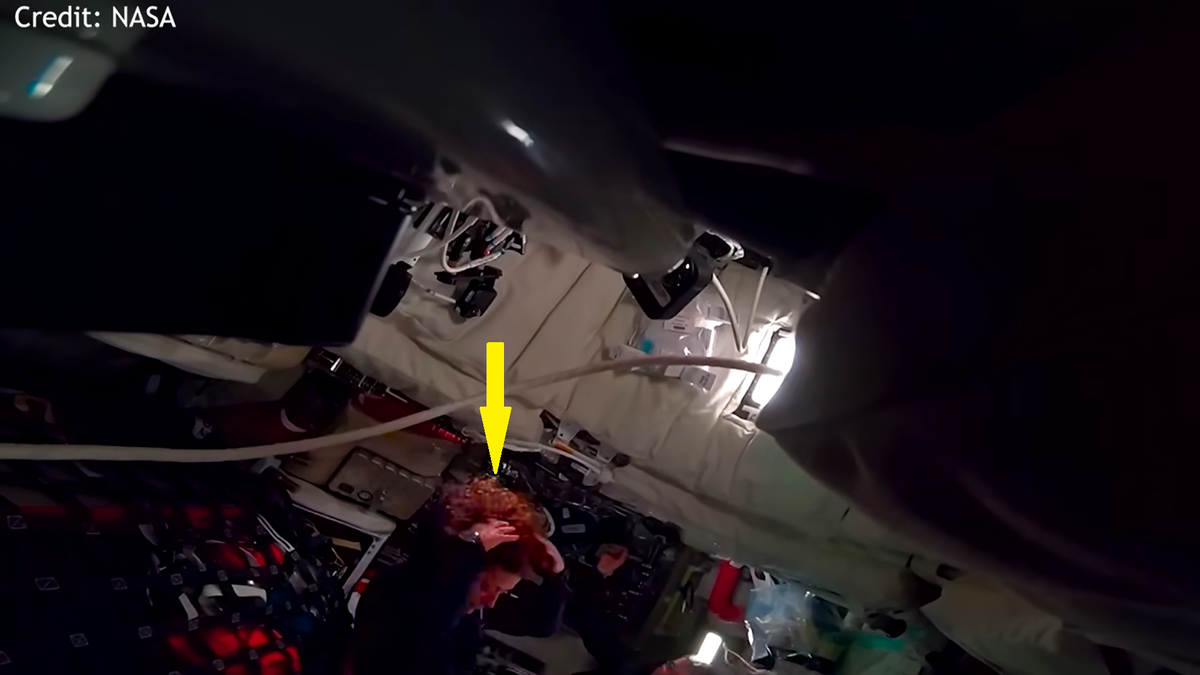 То, что волосы наликированы, видно здесь с 2:17 мин: https://youtu.be/_RrgmBKuSOc?t=137 