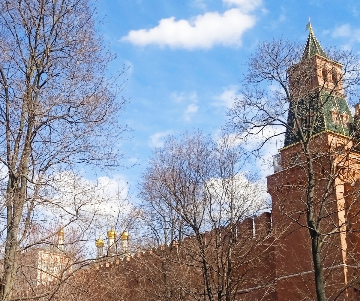 Золотые купола Кремлёвских соборов. 