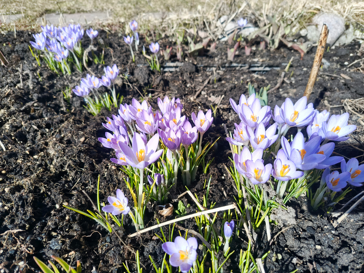 фото от 21 марта 2026 г