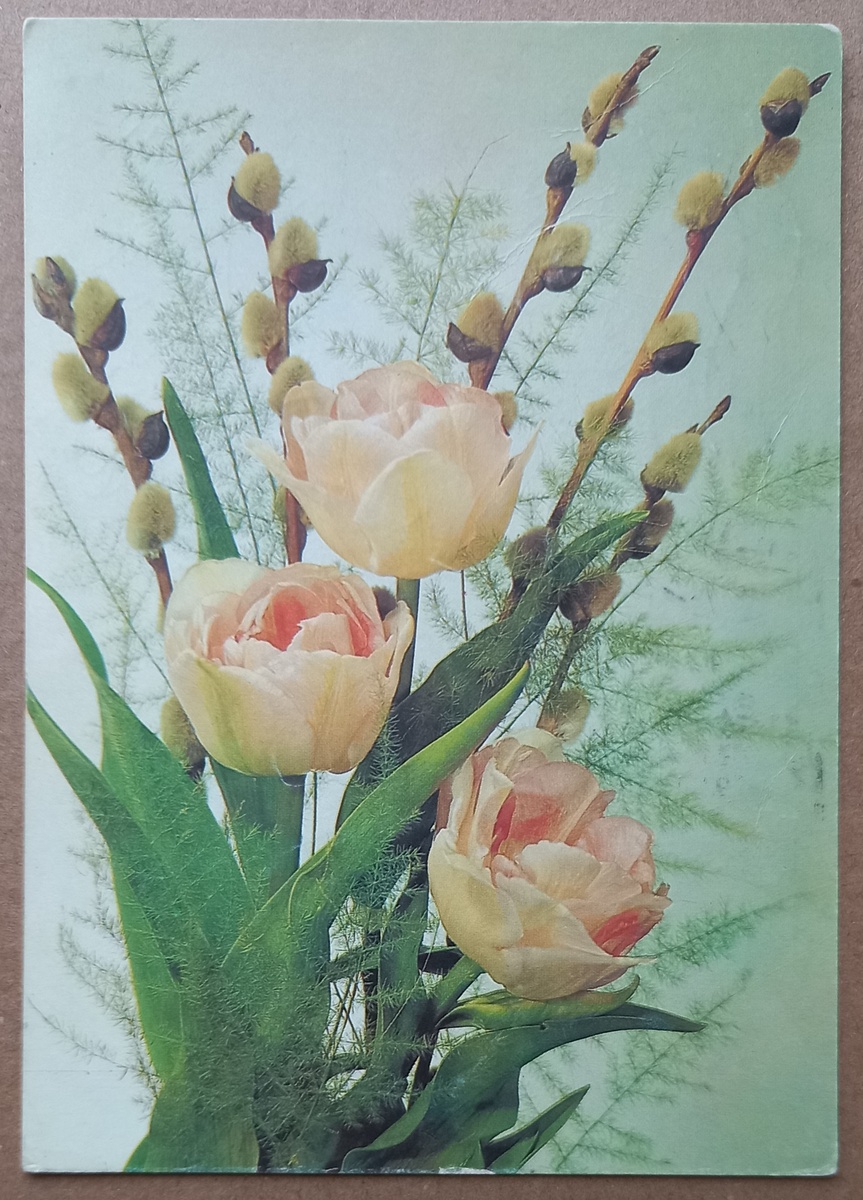 1991 г.. Фото И. Дергилёва. "Министерство связи СССР". Тираж 20 млн.. Из коллекции автора.