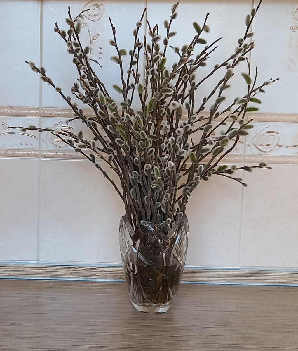 Фото автора.