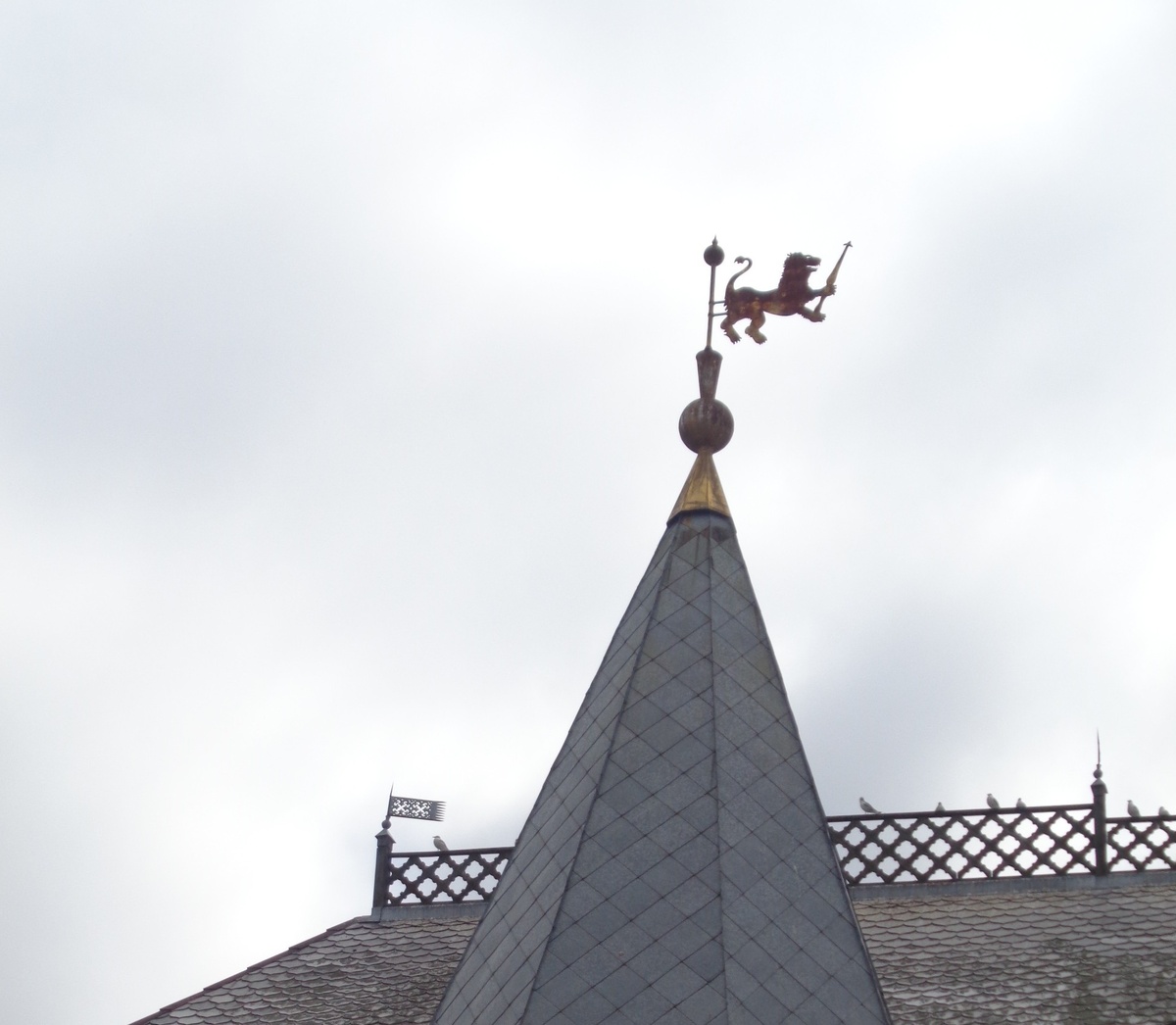 Золотой лев - геральдический символ Суздаля и Володимеря. 