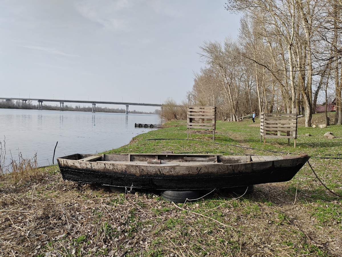 Белый Ильмень Красноярский округ  Астраханская область. 2026 г. Фото Бекмурзаевой С.