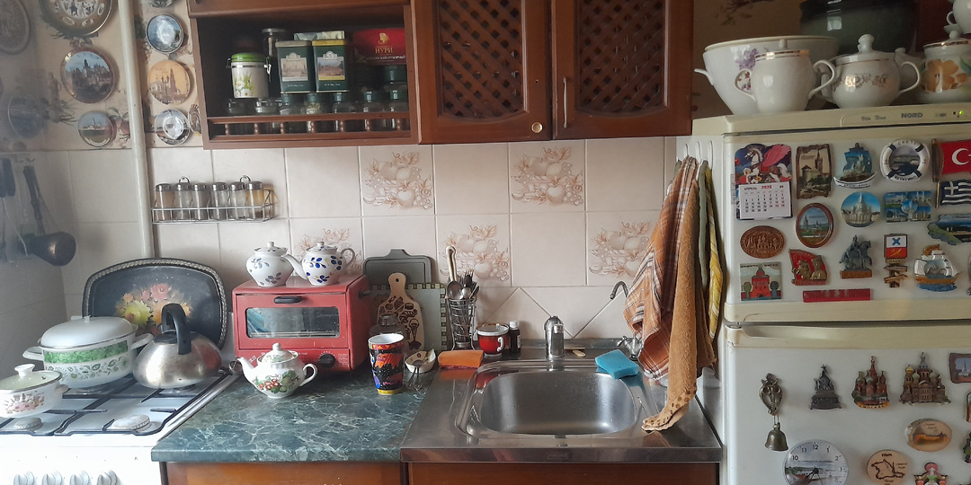 Зверь, который живёт у меня на подоконнике