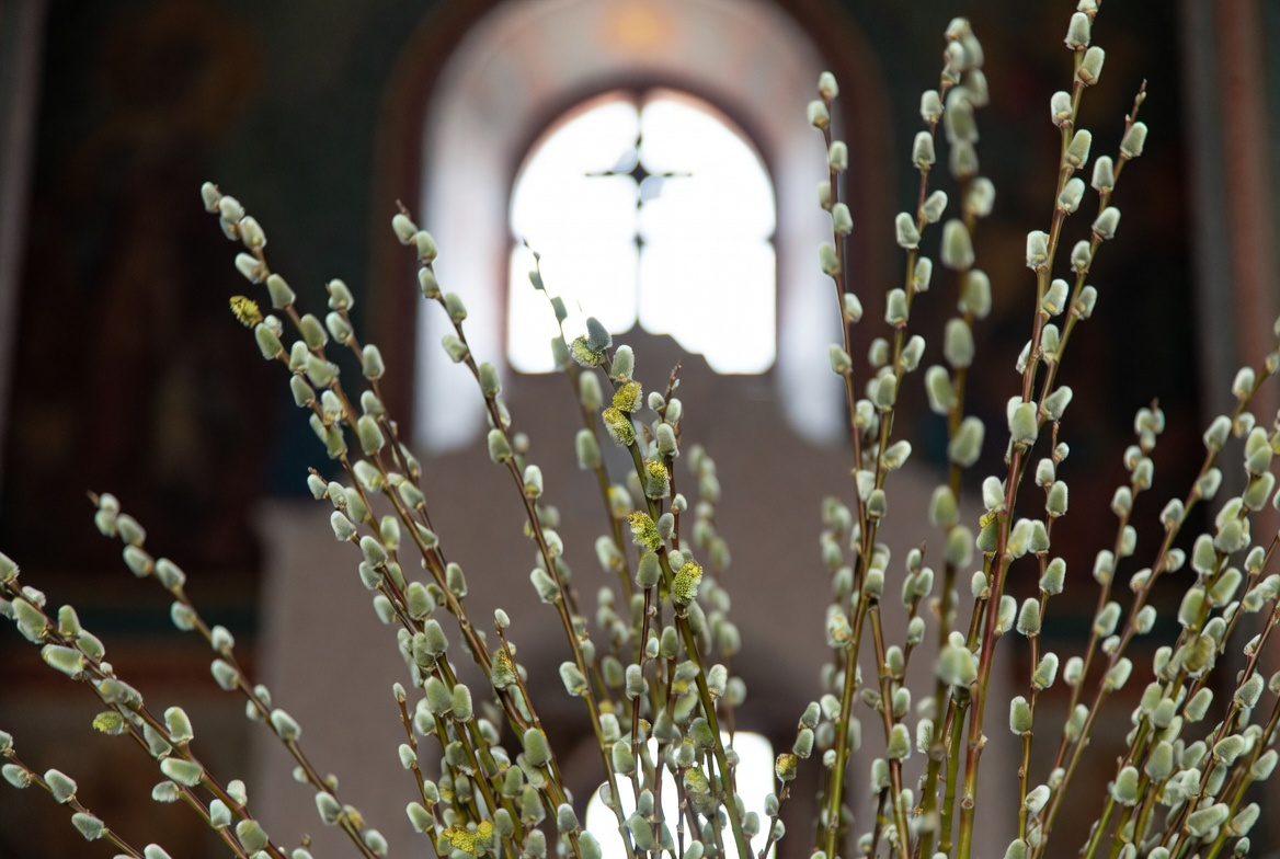    Фото: Коллаж RuNews24.ru