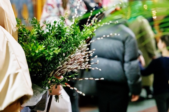  Фото © Дмитрий Дубинский / Абзац