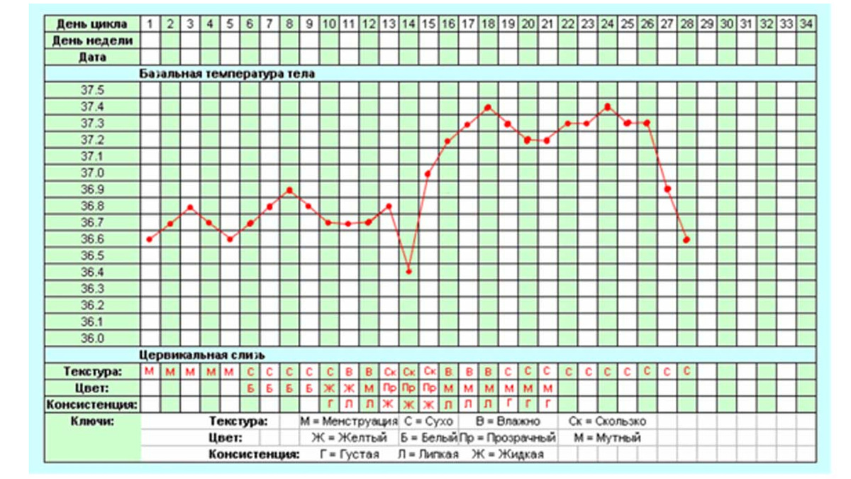 тест на беременность в домашних условиях
