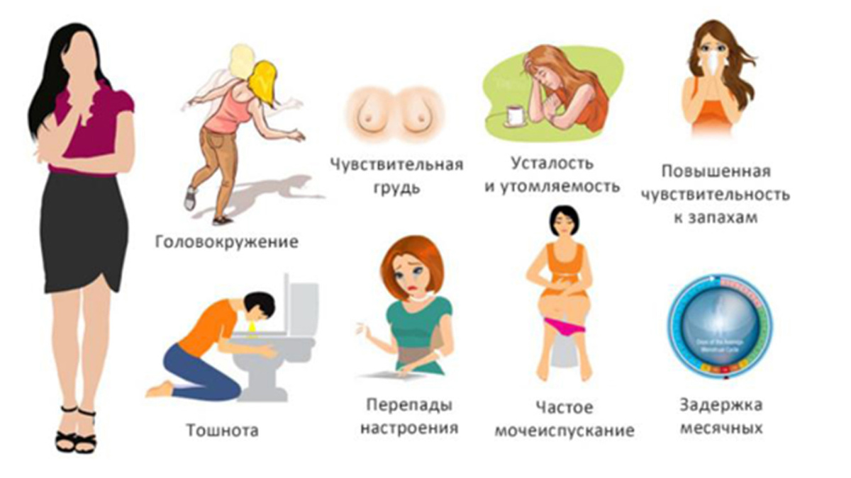 беременна ли я