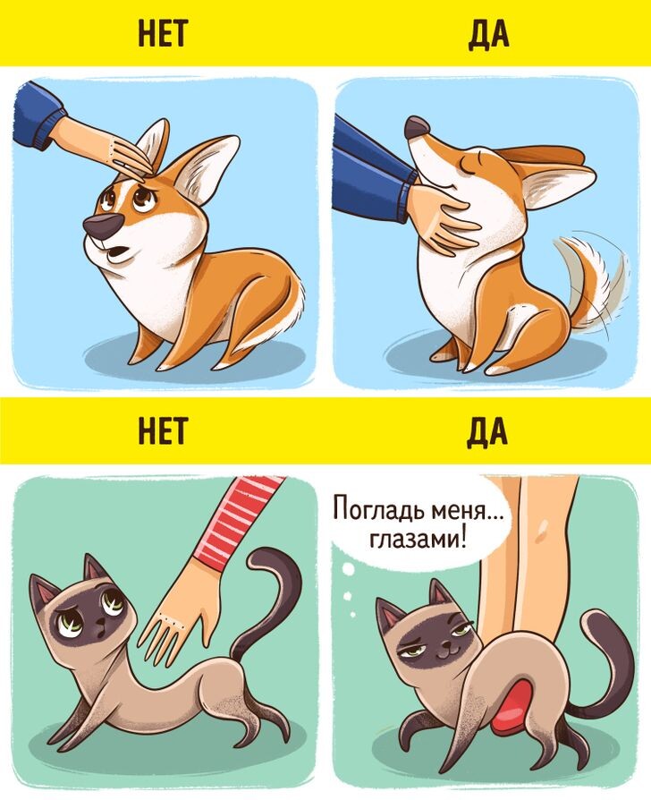 © Иллюстрация создана художниками ADME