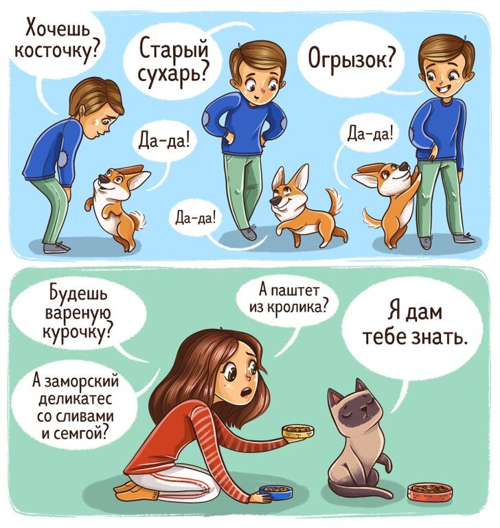 © Иллюстрация создана художниками ADME