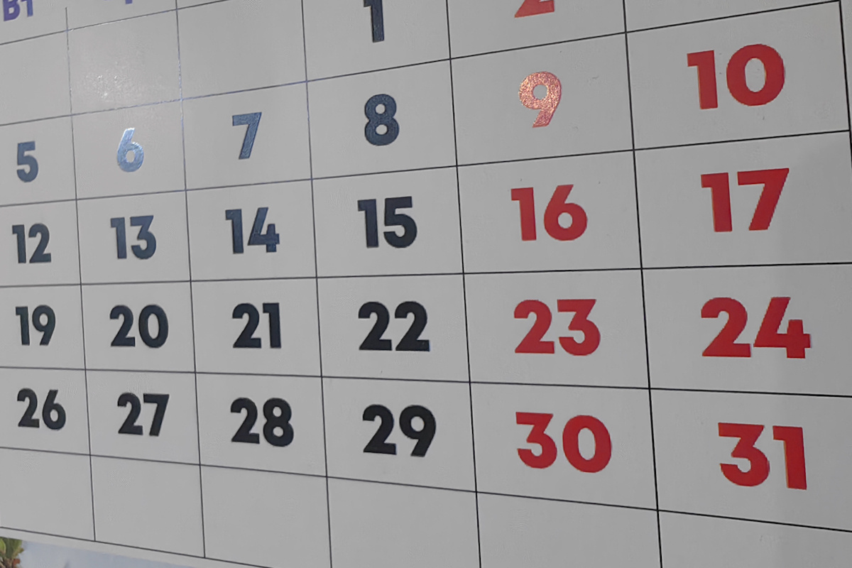    Фото: Лидия Аникина