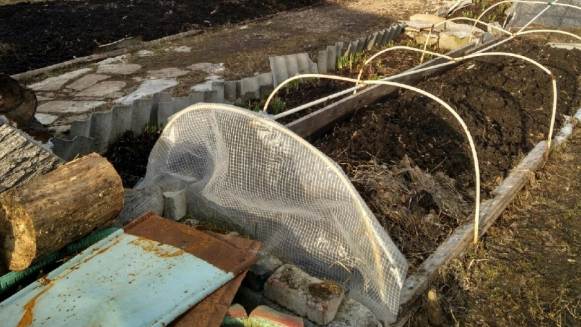    Фото из архива редакции