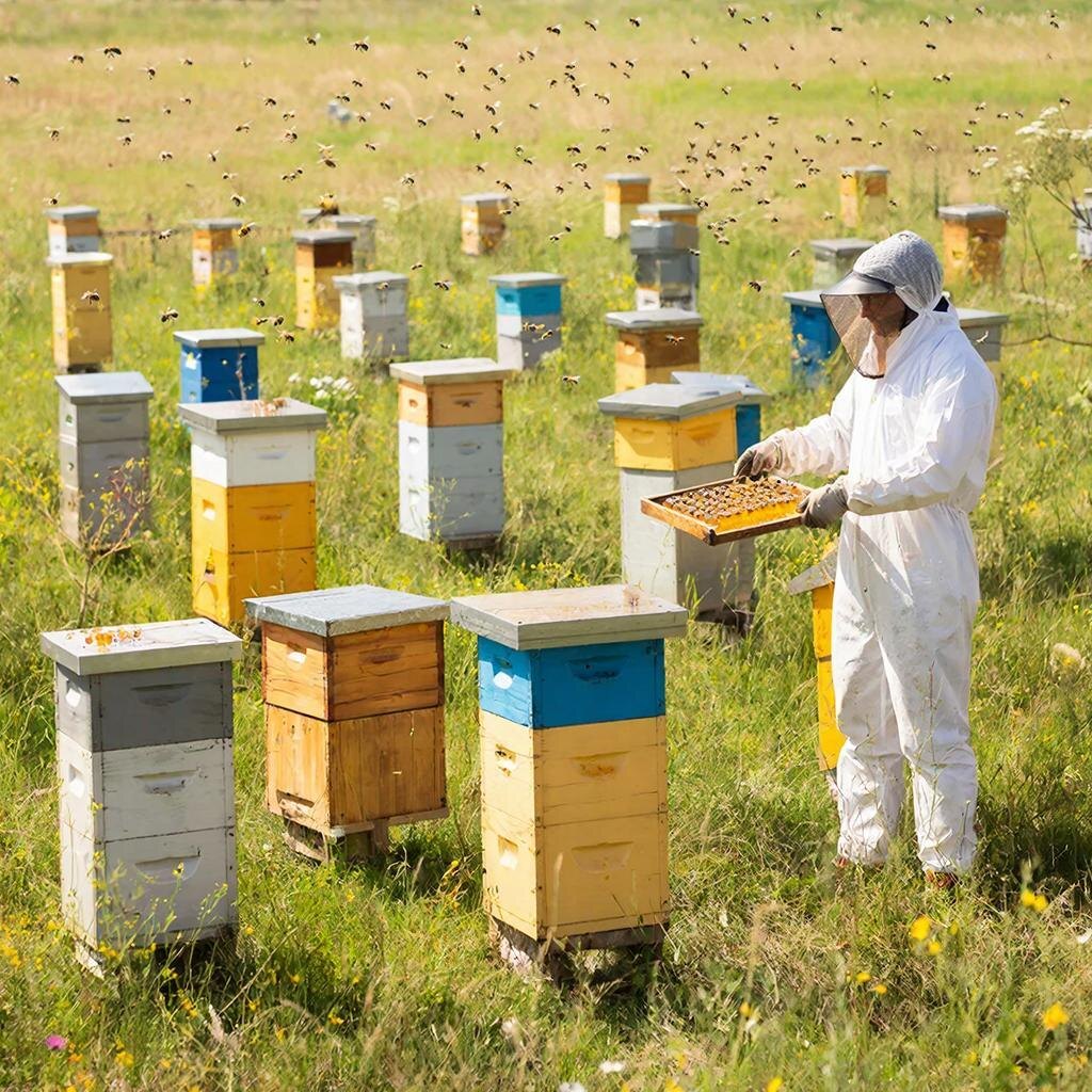 Изображение сгенерировано сервисом GigaChat 