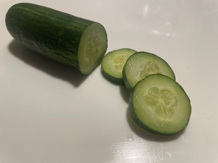    Фото: Алена Калашникова