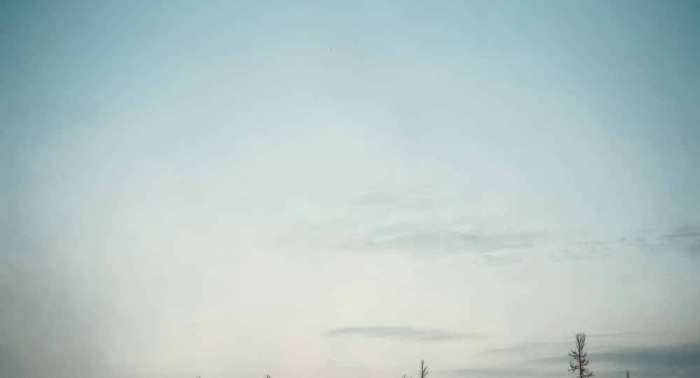 Ежегодно в первое воскресенье апреля отмечается праздник День геолога!