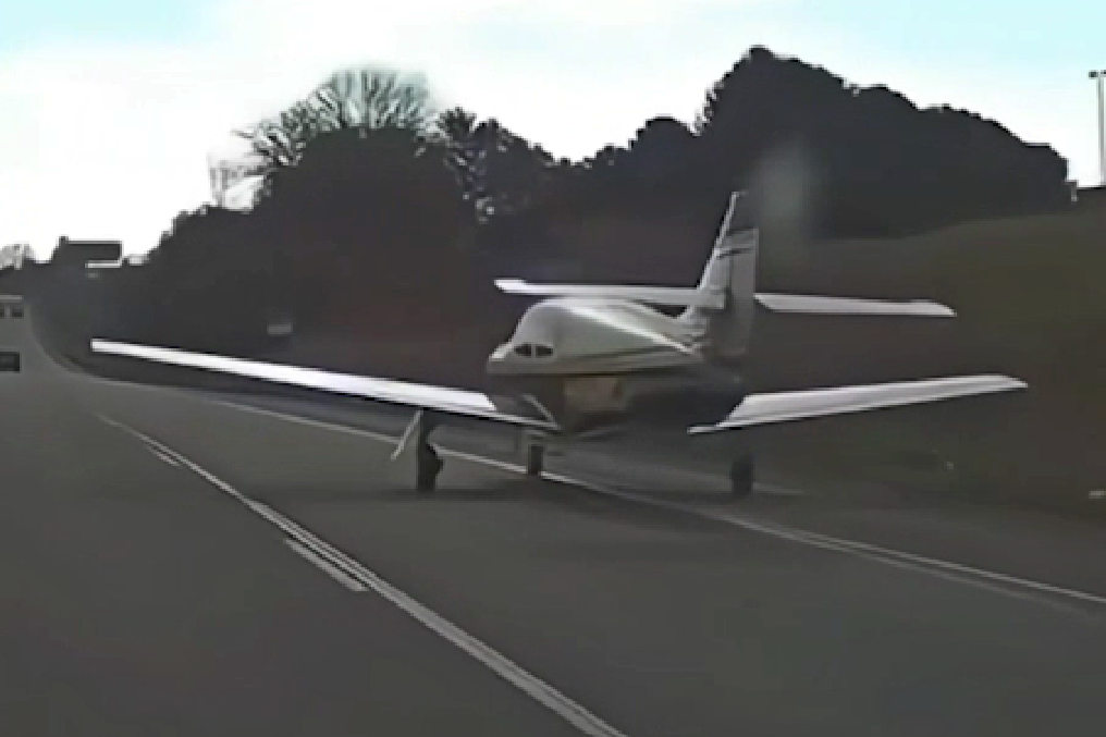     / Источник: © Соцсети. Кадр из видео