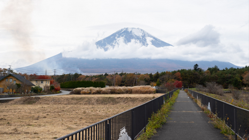    Фото: ZUMA Press Wire/ТАСС