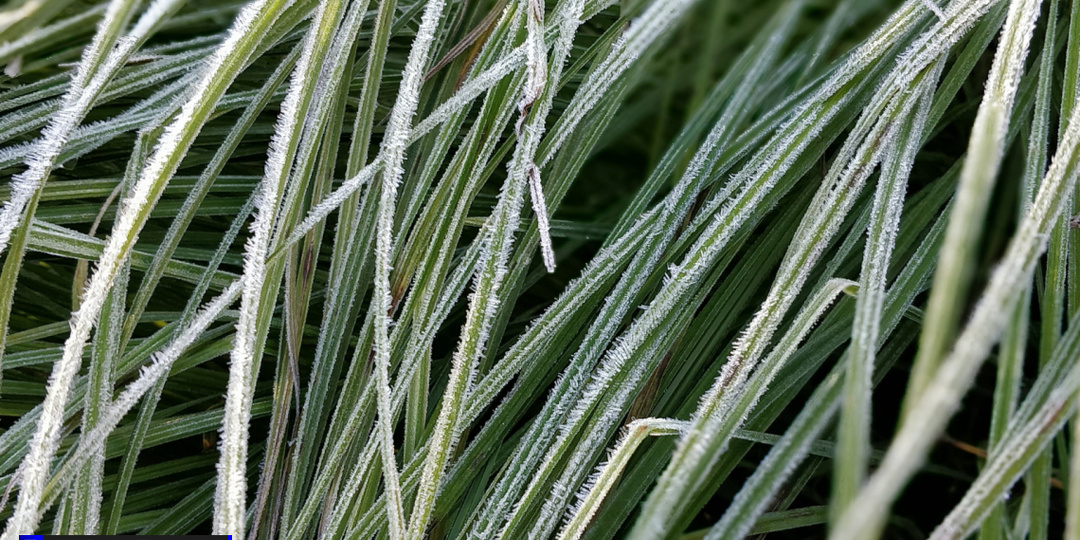 От -7°С до +8°С: опубликован прогноз погоды в Томске на неделю
