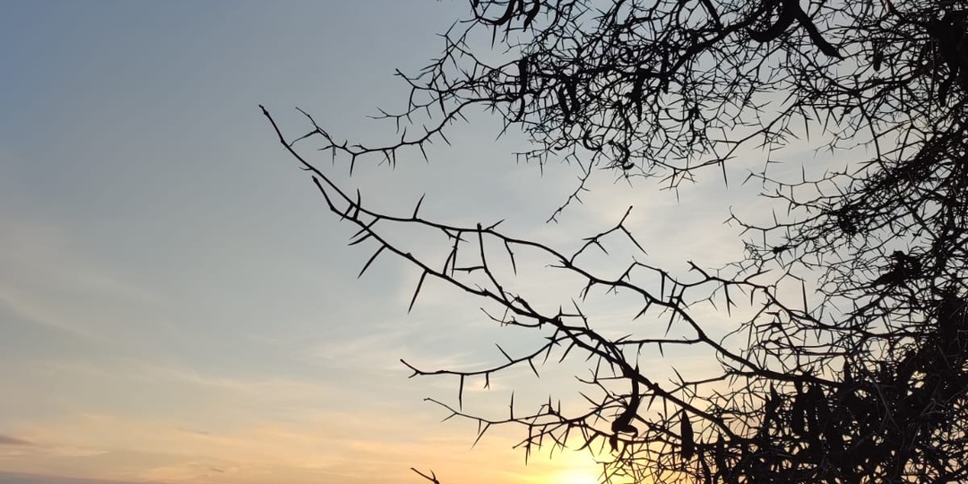 НЕДЕЛЯ С 6 ПО 12 АПРЕЛЯ