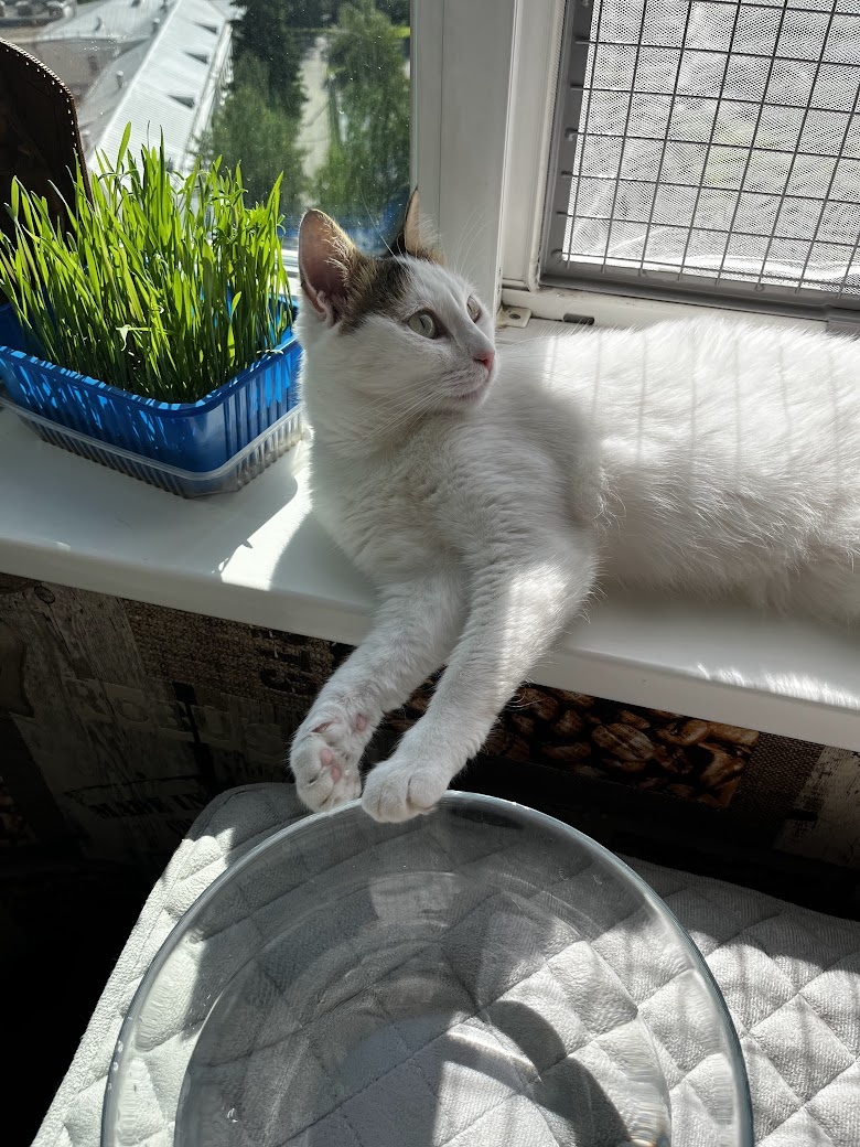 Вопрос не в том, пьёт ли она.