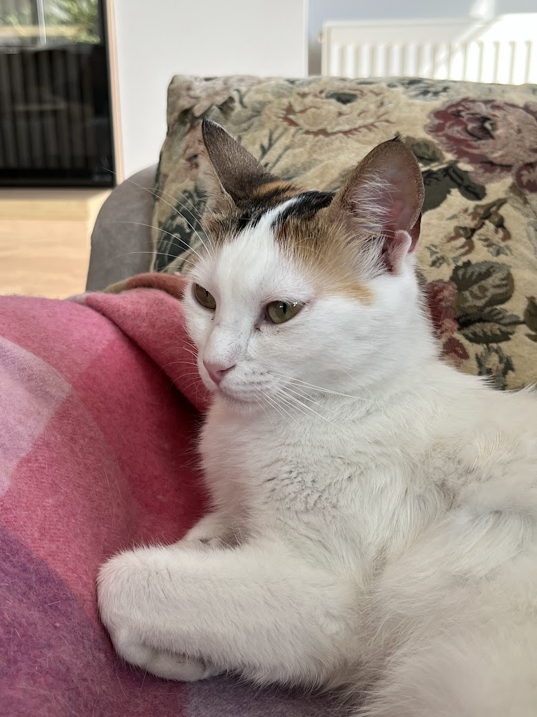 Снаружи всё спокойно. Внутри — работа.