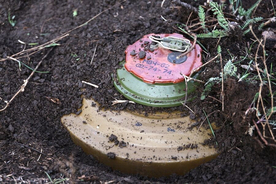     / Источник: © Александр Полегенько/ТАСС