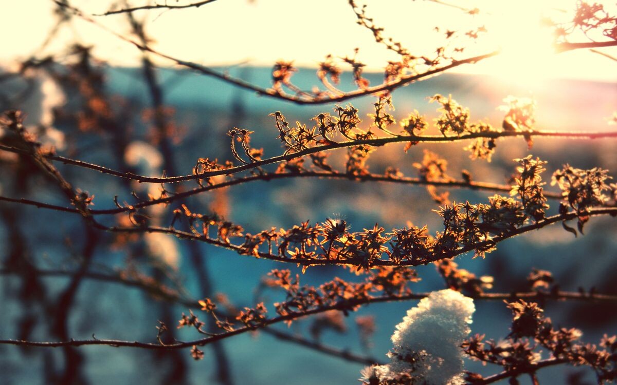    © orenburg.media