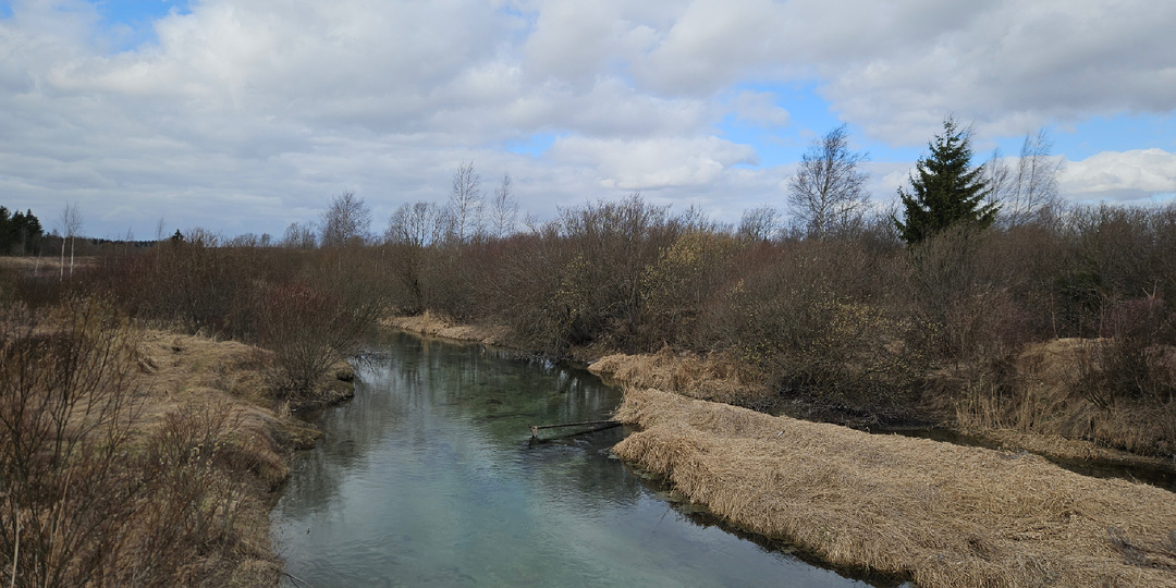 Где я ищу мотивацию для написания отзывов. Заработок на Irecommend