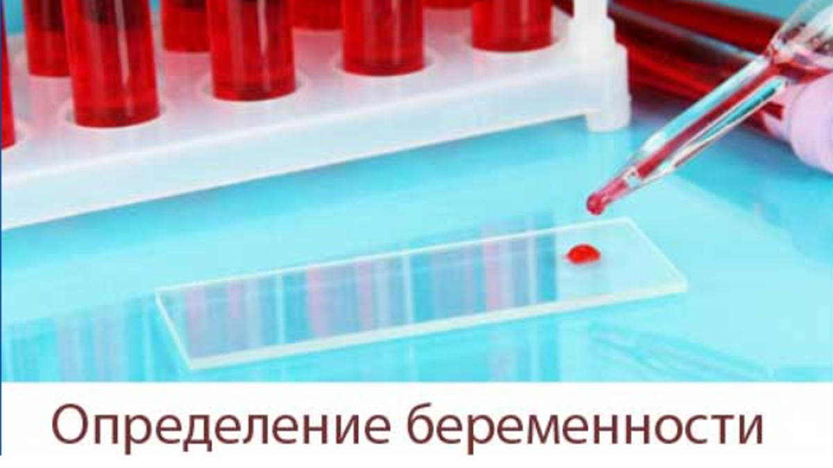 беременна ли я