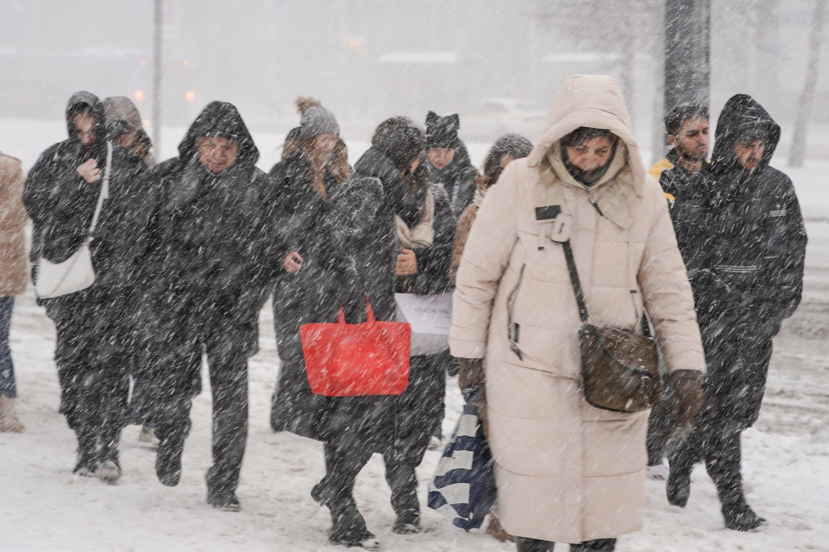     / Источник: © ИЗВЕСТИЯ/Сергей Лантюхов