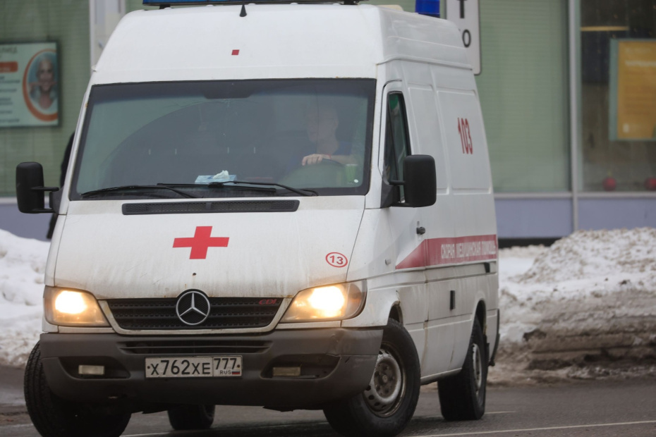    Наталья Шатохина/NEWS.ru