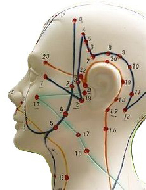 Точка Сы-Чжу-Кун (TR23)