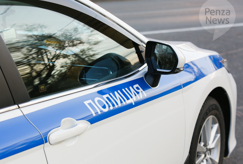 В Пензе мужчина ударил мать деревянным черенком, возбуждено уголовное дело