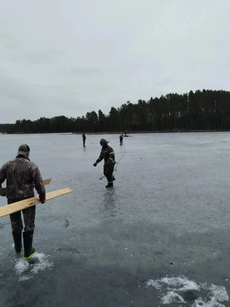   Государственный комитет Карелии по ОЖ и БН