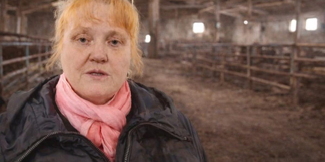 В Новосибирской области спор о забое скота перешёл в судебную плоскость