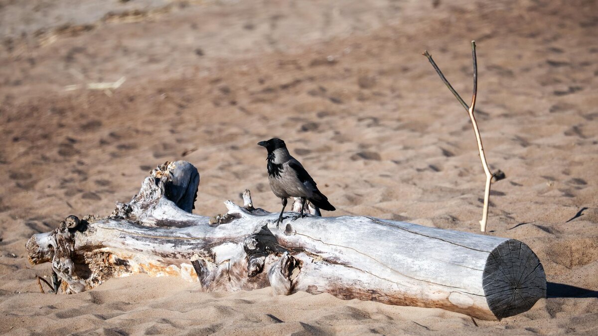    Фото: Global Look Press