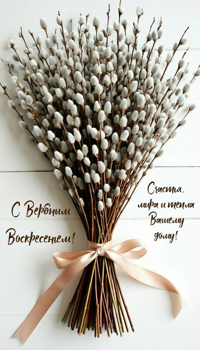 Фото взято из открытого источника