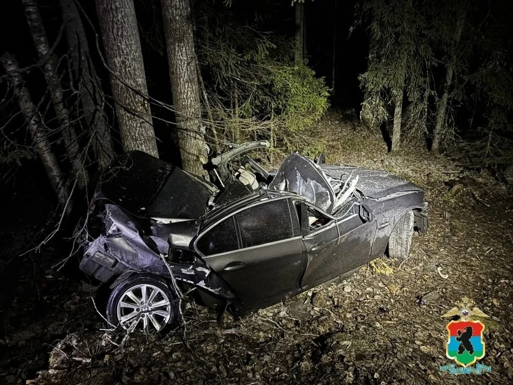    Фото: ГАИ Карелии