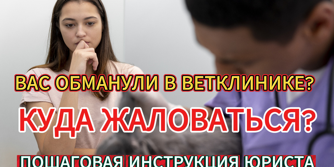🔥 Вас обманули в ветклинике? Куда жаловаться и как вернуть деньги