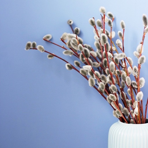    Веточки вербы Кристина Борунова